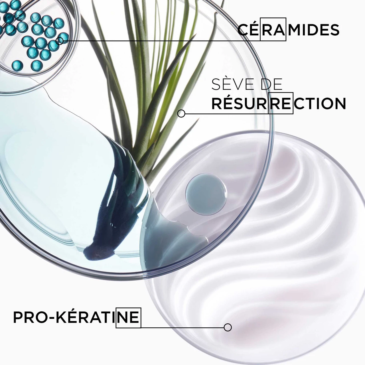 Ciment Thermique Kérastase 150ml 4 Ciment Thermique Kérastase 150ml – Image 4