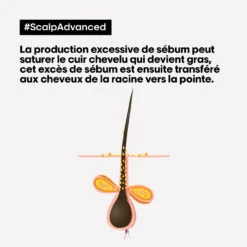 Shampooing Dermo-purifiant Anti Gras Scalp Advanced L'Oréal 1500ml 7 Shampooing Dermo-purifiant Anti Gras Scalp Advanced L'Oréal 1500ml -Magasin De Produits Capillaires 3474637106416 4 47452.1684847766