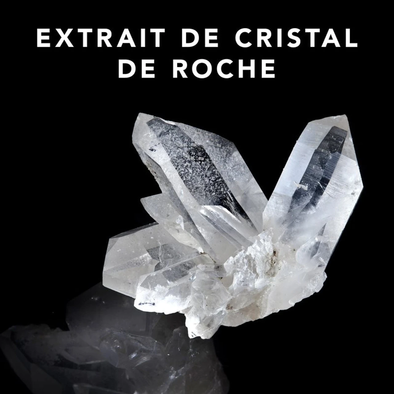 Trilliance Shampoo Sebastian 1000ml 2 Trilliance Shampoo Sebastian 1000ml – Image 2