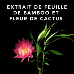 Volupt Spray Sebastian 150ml -Magasin De Produits Capillaires 52361 4 35228.1688735230