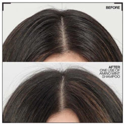 Shampoing Amino-Mint Redken 300ml -Magasin De Produits Capillaires amino.1 56956.1694765720