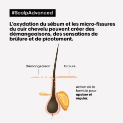 Shampooing Anti-Inconfort Scalp Advanced L'Oréal 1500ml -Magasin De Produits Capillaires scalp adavanced antiinconfort 17500.1684847770