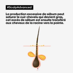Shampooing Dermo-Purifiant Anti Gras Scalp Advanced L'Oréal 500ml -Magasin De Produits Capillaires scalp advanced anti gras se bum 13592.1684847787